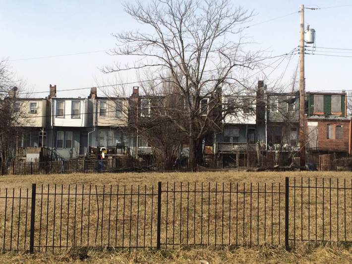 pic-for-hazel-branch